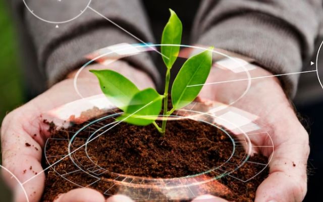 Karbon Ayak İzi Hesaplayan Firma